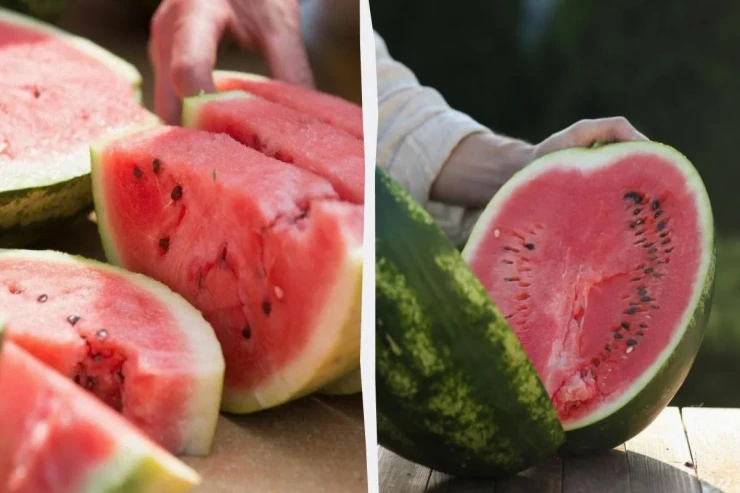 Qarpızı  necə düzgün saxlamaq olar?