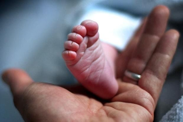 Binanın həyətində yeni doğulan körpə meyiti  tapıldı