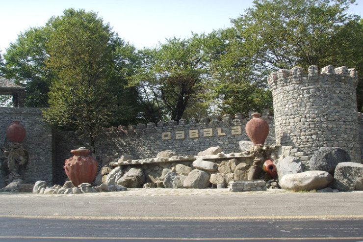 Dağlıq ərazidə köməksiz qalan qadın   xilas edildi