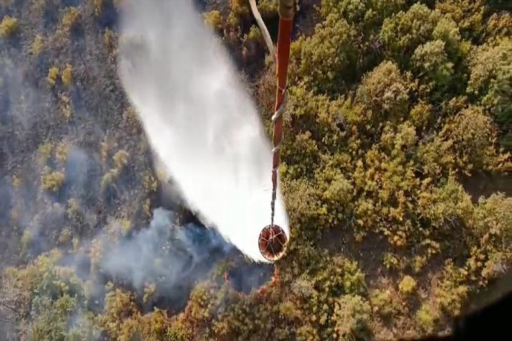 Qazaxda açıq ərazidə baş verən YANĞIN:  söndürüldü-VİDEO 