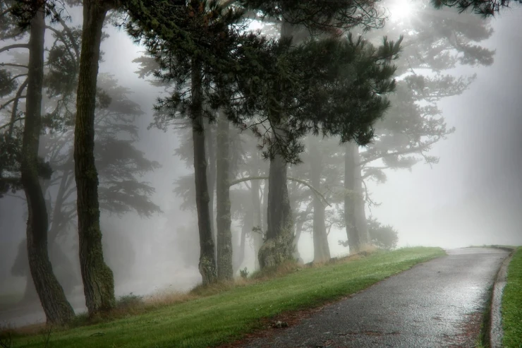 Duman olacaq, külək əsəcək -Sabahın havası 