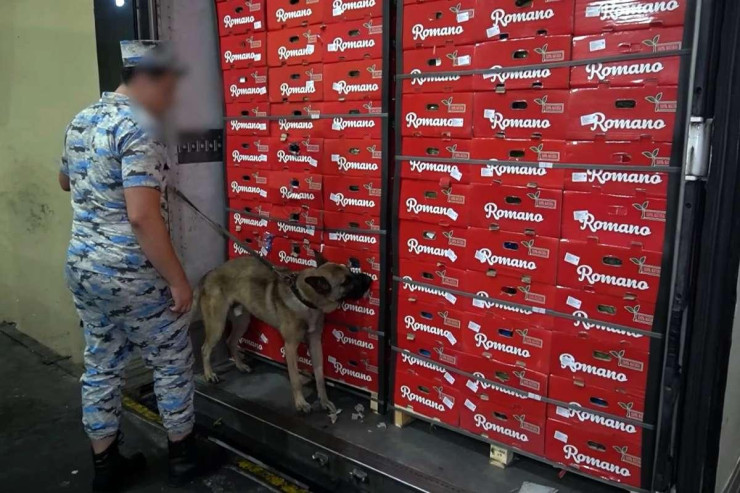 30 kiloqramdan artıq narkotik  belə saxlanıldı