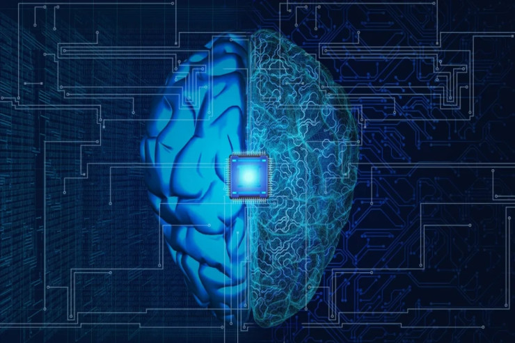 Süni intellektə sahib olan ilk beyin  necə işləyir?