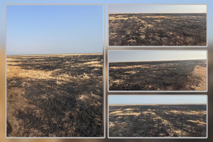 Cəlilabadda 2 hektar yeri yandıran cəzalandırıldı