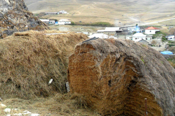Beyləqan sakini ot tayasından  yıxılıb öldü