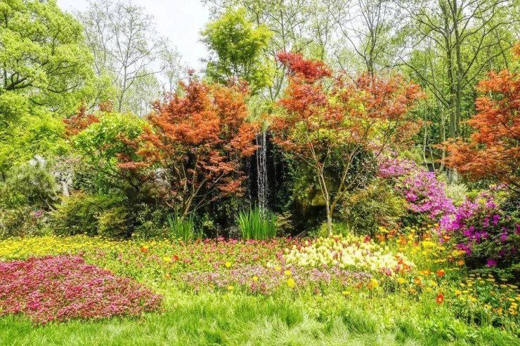 Şəxsiyyət testi:  İndiki həyatınız necədir?