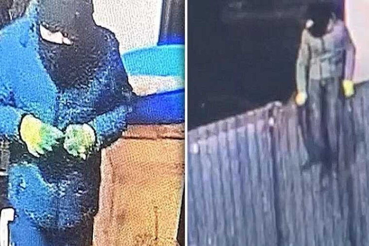 Bir gecədə 13 villanı  qarət etdi: "Fantomas" ləqəbli  oğru 3 aya tutuldu