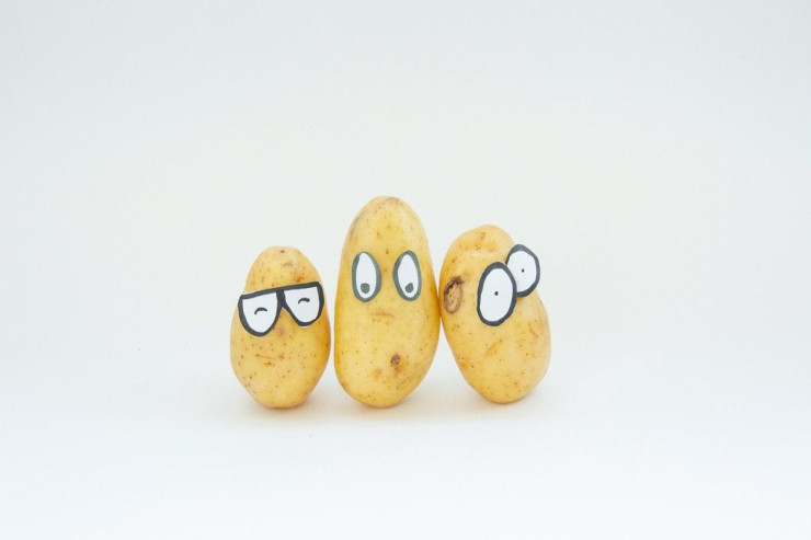 Kartof haradan gəlib?  - Təkamül mənşəyi AÇIQLANDI