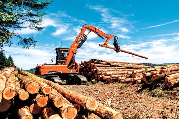 Azərbaycana bit-birəli oduncaq  göndərən iş adamı cərimələndi