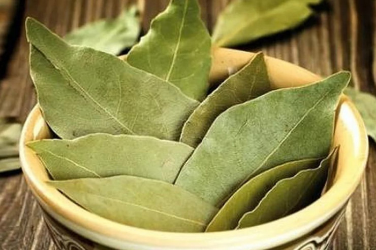 Xalçanın altına dəfnə yarpağı qoyun:  hamını narahat edən problemdən xilas olun