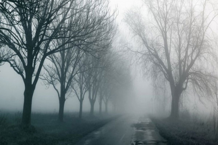 Duman olacaq, külək əsəcək - Şənbə gününün HAVASI 