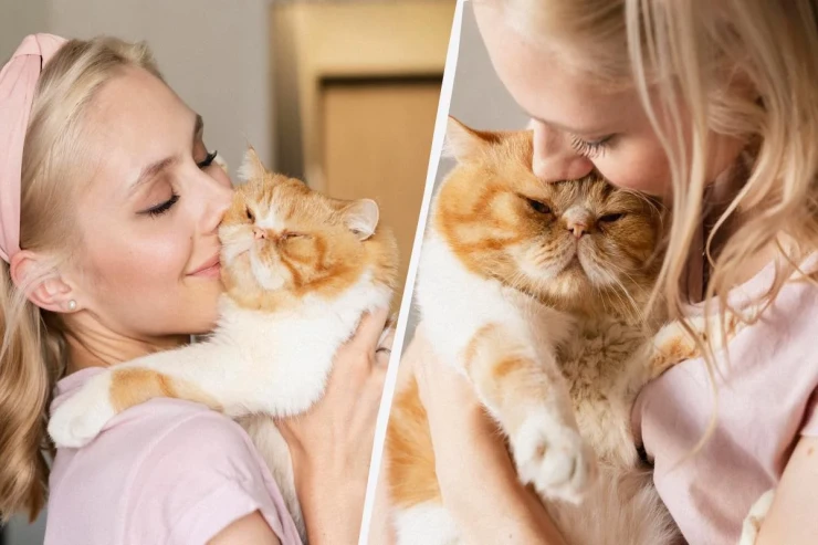 Niyə pişiyi öpmək  olmaz?