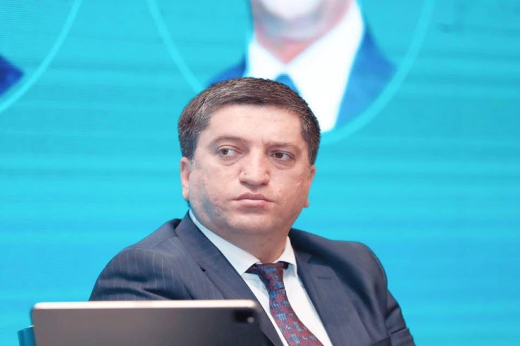 Mikayıl Cabbarova yeni müşavir  təyin edildi