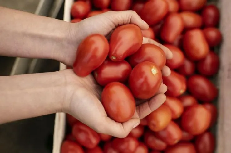 Niyə qışda pomidor almamalısınız? 