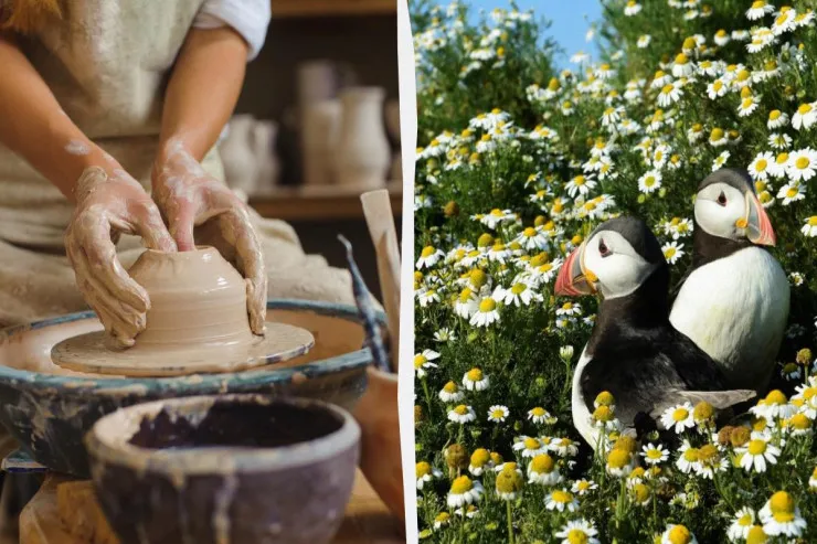 2026-cı ilin əsas turizm trendləri 