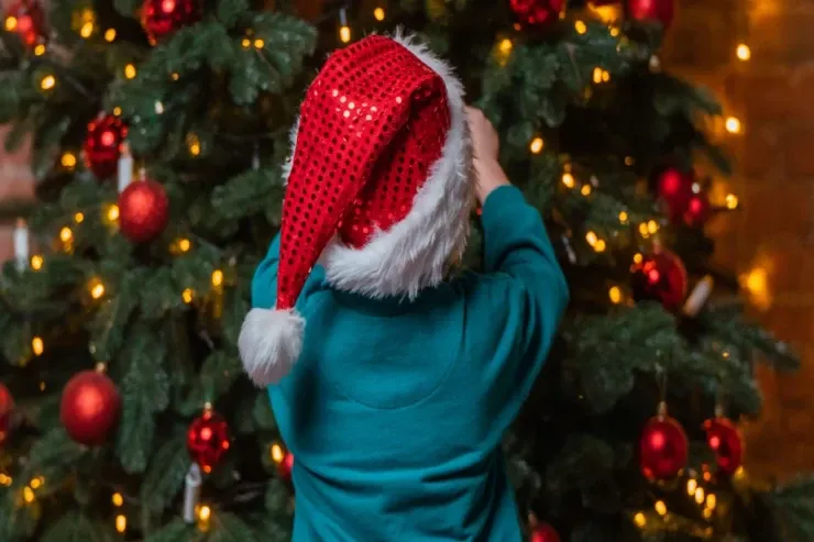 "Yolka"dan hansı oyuncaqları  asmaq olmaz? - At ili onları sevmir 