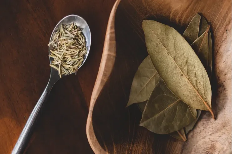 Dekabrda dörd gün dəfnə yarpağı  yandırın: həyatınızın necə dəyişdiyini  görün