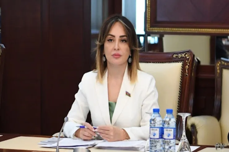 Ölkəmizə qarşı hazırlanan yeni işğal planının qarşısı alındı - DEPUTAT              