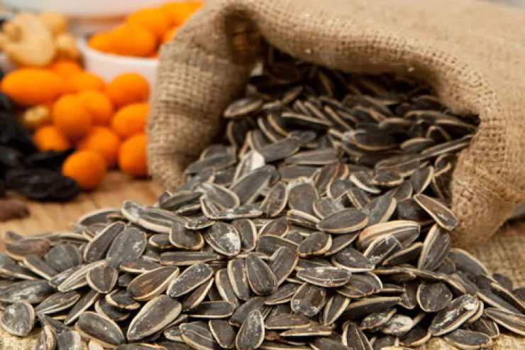 Həkimlər niyə qadınlara günəbaxan tumu yeməyi  məsləhət görür?