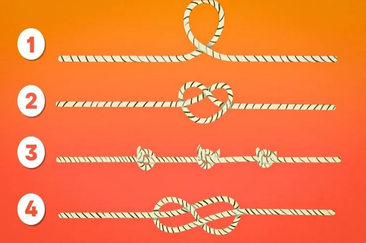 Ən uzun ipi yalnız ən ağıllılar  tapa bilər: sürətli psixoloji TEST 