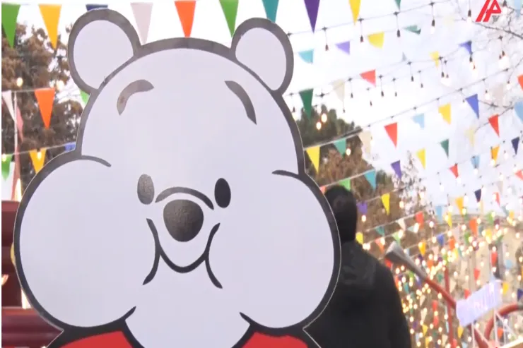 Bakıda Yeni ili kimlər və necə keçirir? - SORĞU  -VİDEO 