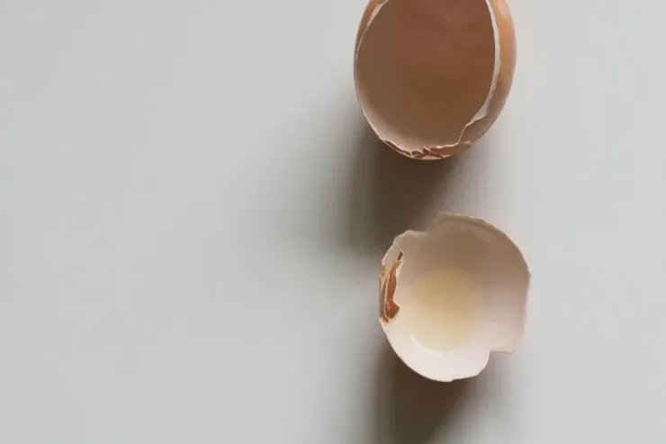 İnsanların çoxu yumurtanın bu hissəsini atır: nələri itirdiyinizi öyrənin 