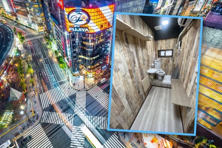 Nəhəng tualet  icarəyə   verilir