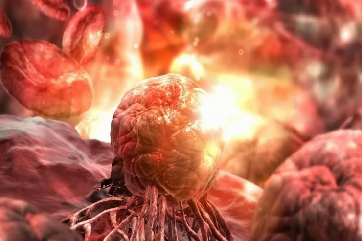 Alimlər xərçəngin inkişafını  dayandıran peyvənd hazırlayırlar