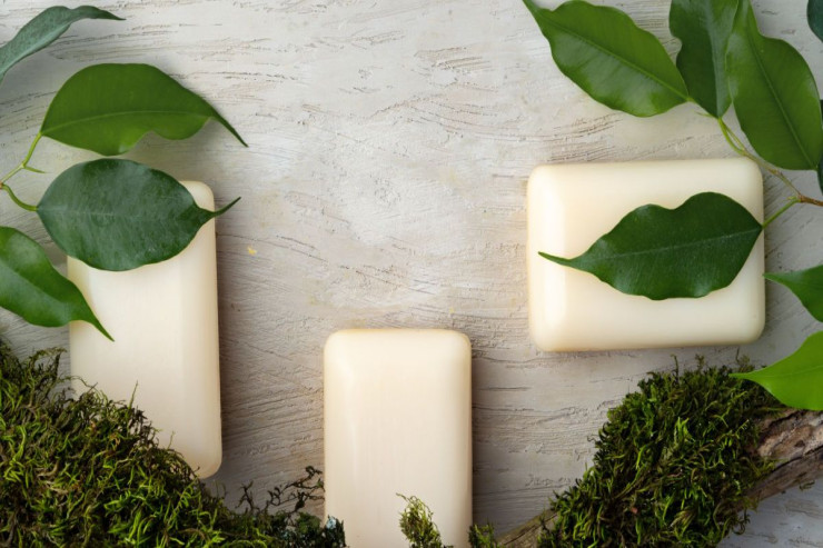 Bağçanıza sabun qoymağı  unutmayın - peşman olmayacaqsınız