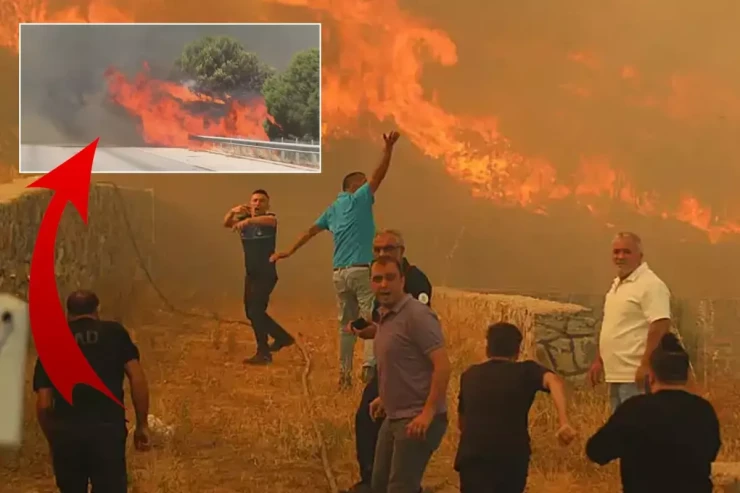 İzmirdə yanğın  fəlakəti -  FOTOLENT 
