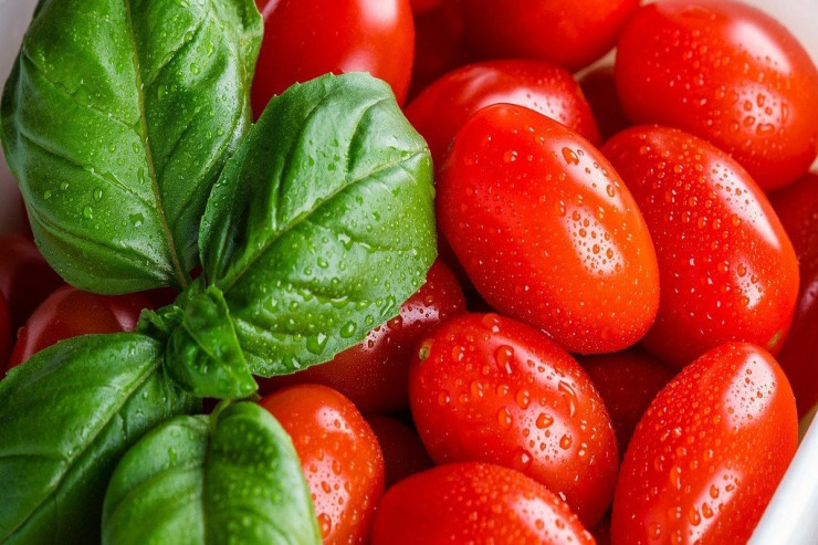 Təzə pomidorları soyuducuda saxlamayın:  ən yaxşı yer haradır? 