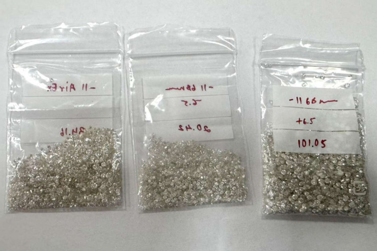 Dubaydan Bakıya külli miqdarda brilyant qaşlar  gətirmək istədi