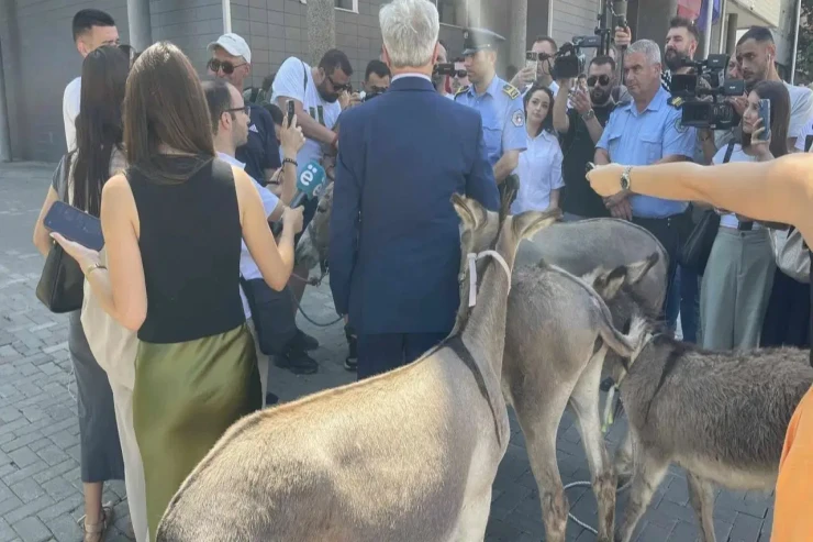 Məclis  başqanının seçilməməsinə   “eşşəklərlə” etiraz edildi