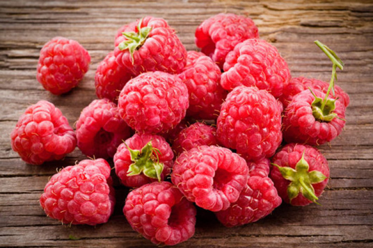 Yuxuda moruq  görmək nə deməkdir?