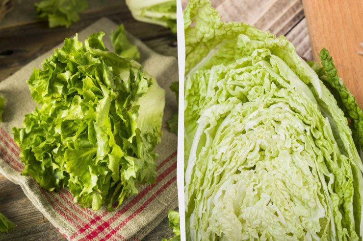 Salatın 10 gün təzə qalması üçün  soyuducuda necə saxlamalı?