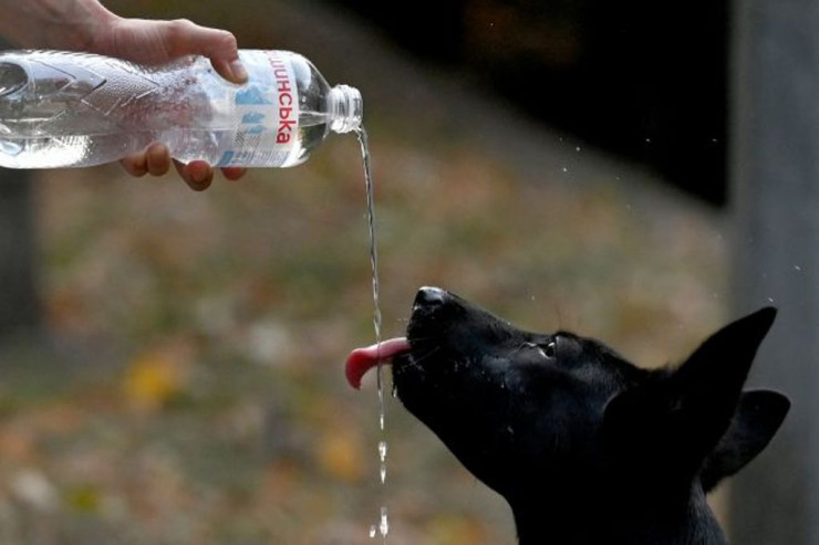 Sabah  38 dərəcə isti   olacaq - hava PROQNOZU 