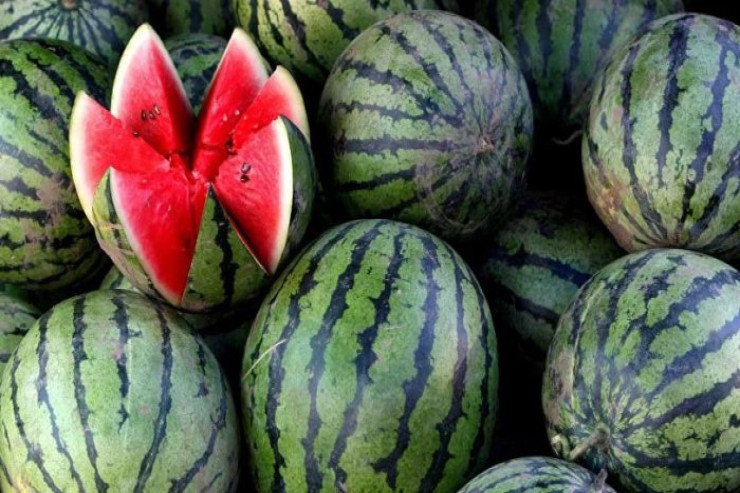 Azərbaycanda qarpızlara  bu dərmanlar   vurulur, xərçəngə yoluxma  riski var - XƏBƏRDARLIQ 