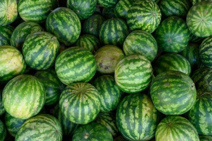 Bu qarpızları  yemək olmaz:   Sağlamlıq üçün təhlükələri göstərən  şok əlamətlər