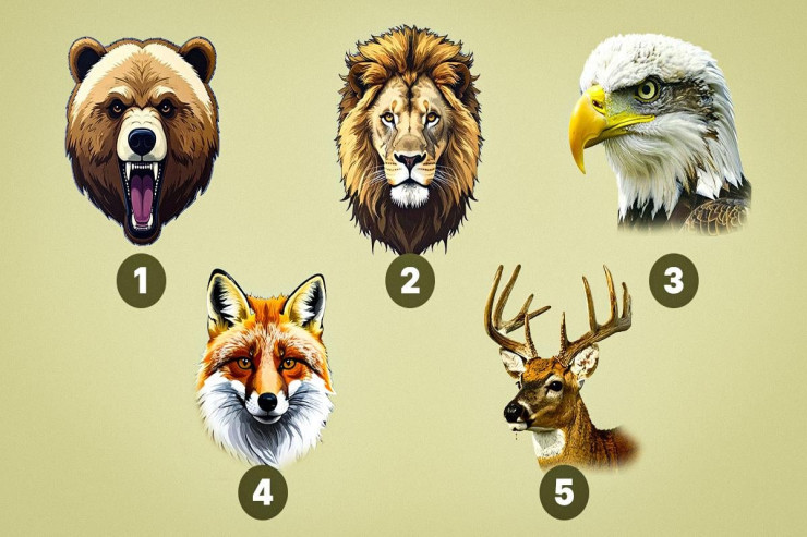 Subaylar hansı heyvanı  seçir: Bu test onların xarakteri haqqında həqiqəti  üzə çıxaracaq