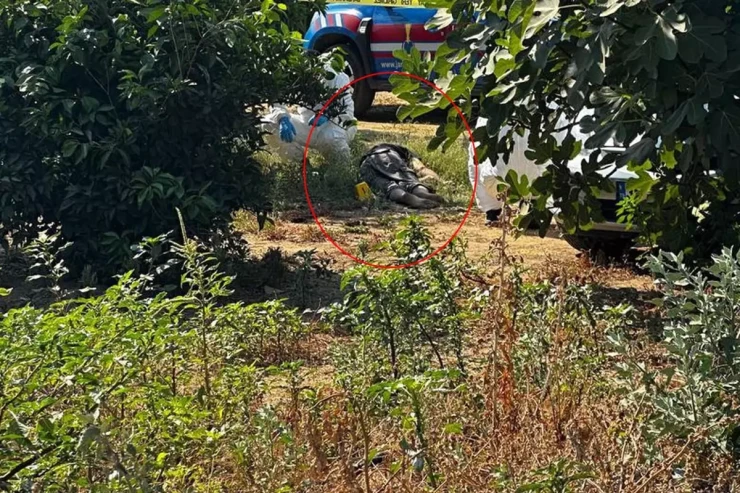 Atasını  balta ilə yaralayıb   həyatına dəhşətli şəkildə  son qoydu