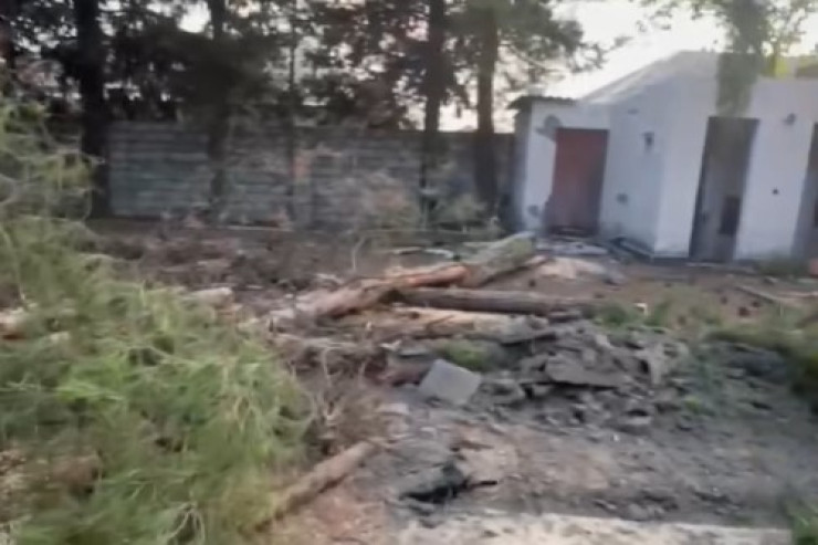 Zaqatalada ağacların kəsilməsi faktına görə cinayət işi açıldı  - VİDEO  - YENİLƏNİB 