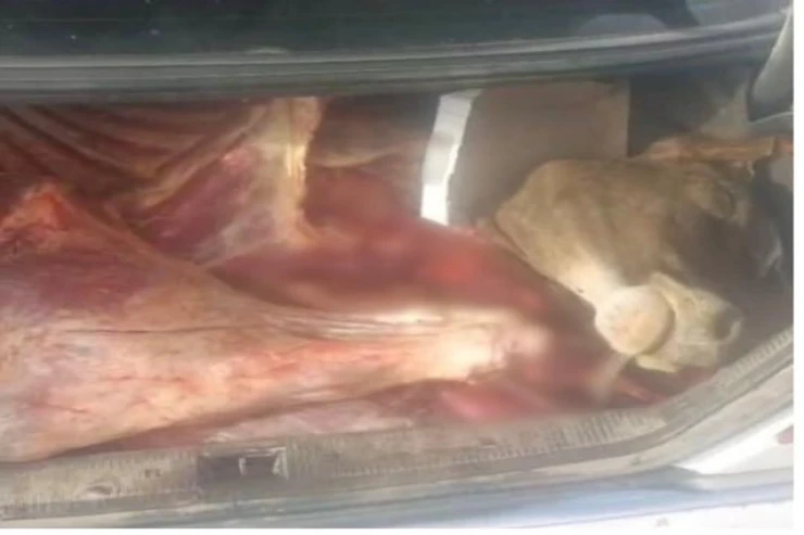 Əsgəranda avtomobildən 120 kilo yararsız ət  tapıldı