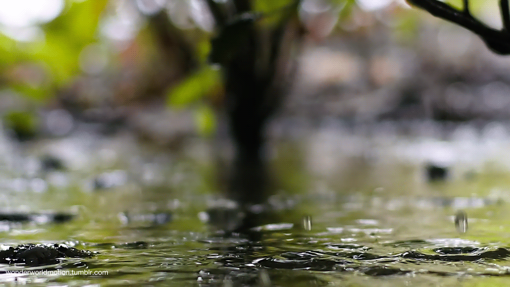 Bu yerlərə  leysan yağacaq 