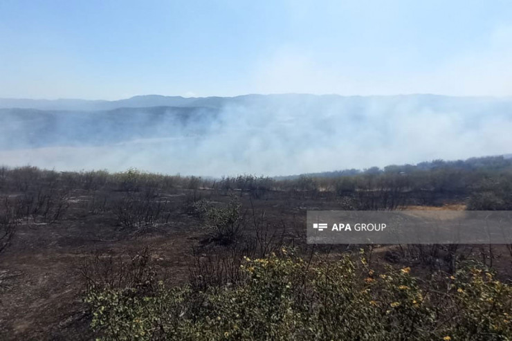 Cəlilabadda  dağlıq ərazi   yanıb, bir nəfər tüstüdən boğulub  - VİDEO  -YENİLƏNİB 