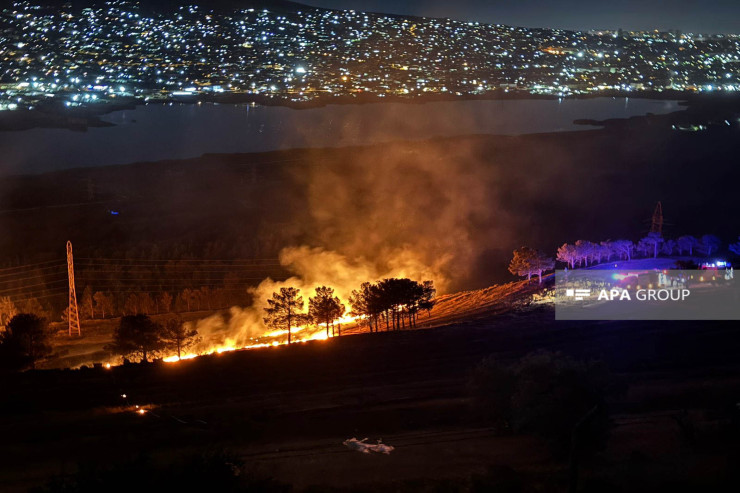 Bakıda gölün ətrafında baş verən yanğın söndürüldü - VİDEO -YENİLƏNİB 