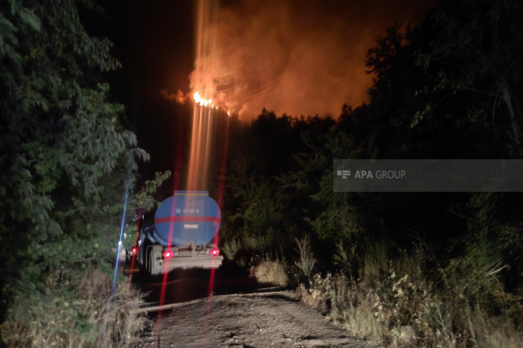 Laçında yanğın SÖNDÜRÜLDÜ:  saxlanılanlar var - YENİLƏNİB 