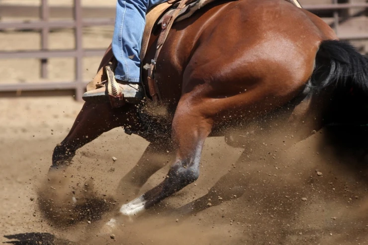 Arvadını saatlarla döydü,  atın quyruğuna bağlayıb sürüyərək öldürdü 