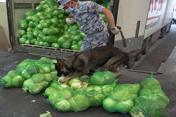 İrandan gələn kələmlərin içindən  görün nələr çıxdı?