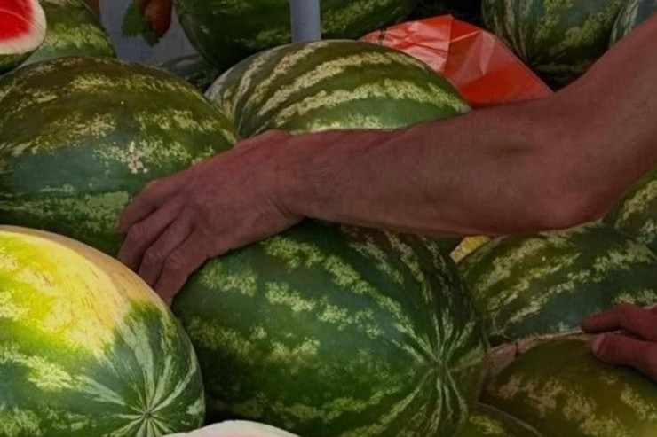  Yetişmiş və şirin qarpızı   necə seçmək olar? - 10 əlamət 