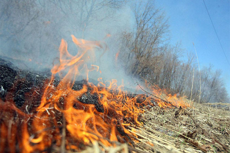 Lerikdə yanğın törədənlər   saxlanıldı